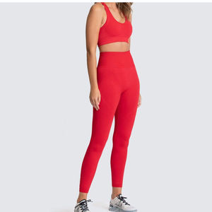 Tenue de sport décontractée et élégante pour femmes, leggings et soutien-gorge de sport respirants avec motif uni, vêtements de sport pour la salle de sport - Product Image 2