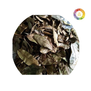 Premium Dried Soursop Leaves From Vietnam Dried Soursop Leaves For Graviola <b>Tea</b> Preparation And Blending - Product Image 4