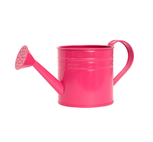 บัวรดน้ำโลหะแบบแฮนด์เมดสำหรับสวนในร่มดีไซน์โบราณโลโก้ตามสั่ง - Product Image 1