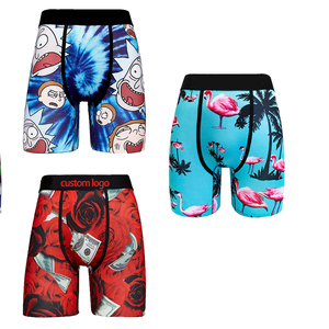 Calzoncillos bóxer con gráfico personalizado, bañadores estampados, calzoncillos deportivos ajustados de malla transpirable para gimnasio, calzoncillos de poliéster, ropa interior de talla grande para niños - Product Image 3