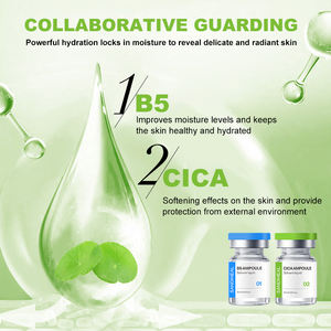 Ampolla de ácido hialurónico B5 Sanendi OEM para el rostro, Heartleaf, para una piel radiante y luminosa, set de cuidado de la piel micronizado, 10 viales - Product Image 3