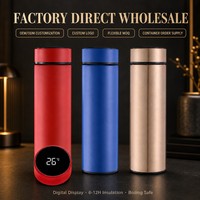Bouteille isotherme intelligente en acier inoxydable de 500 ml avec affichage LED de la température, gourde portable, OEM ODM, vente en gros