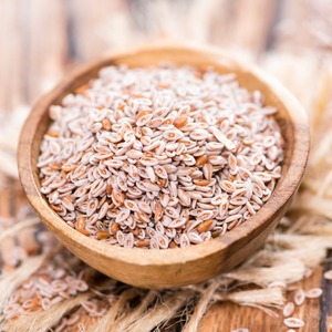 Nguồn gốc Psyllium trấu HẠT GIỐNG (isabgol)-plantago Ovata cho gieo & sức khỏe (chất lượng xuất khẩu) - Product Image 2