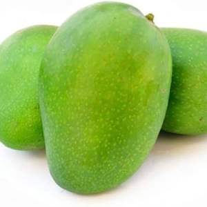Mango Fresco Más Vendido - Venta al por Mayor de Mango Verde / Exportación de Mango - Product Image 1