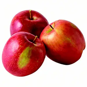تفاحة طازجة و تفاحة فوجي حلوة وحمراء شفافة صناعة صينية 2024 للبيع بالجملة