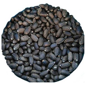 Semillas de Jatropha naturales secas 100% originales a precio al por mayor barato - Product Image 6