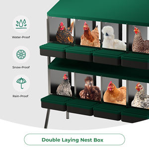 Recogida de Huevos Conveniente con Des Champs MG04D-L: Nido de Ocho Compartimentos para Uso en el Patio Trasero - Product Image 4