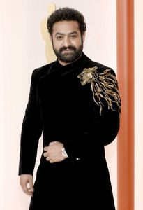 NEW--STYLISH GOLD ZARI LION EMBROIDERY on SHERWANI WITH <b>PANT</b> DRESS & ALSO MATCHING SHOE WITH DRESS for PARTY-WEAR/WEDDING@ 2023 - Product Image 2