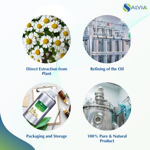 Aceite Esencial de Manzanilla 100% Puro y Natural de la Marca Salvia, Venta al Por Mayor OEM/ODM con Empaque Personalizado para el Cuidado de la Salud Corporal - Product Image 4