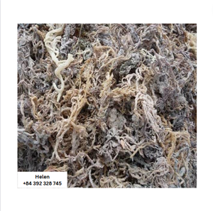 Premium 100% Naturel Organique Violet Irlandais Mousse De Mer Algues Récolté Seamoss Gel Séché Ad Processus Sac Helen SEAMOSS GEL - Product Image 4