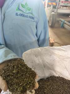 Hojas de albahaca El Ekhlas Co Bani Suief City, nueva cosecha, calidad premium, sabor natural, granulados verdes crudos procesados en seco, Egipto - Product Image 3