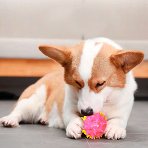 Spazzolino per denti molari per cani, giocattolo sonoro in plastica per animali domestici - Product Image 2