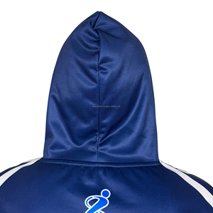 2025 haute qualité vente chaude bleu manches complètes hommes à capuche disponible en usine prix de gros basiques sublimation sweats à capuche - Product Image 6