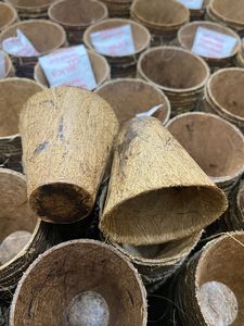 Pots de graines de coco de qualité supérieure des fabricants de jardins du Vietnam avec emballage digne de qualité supérieure Produits agricoles - Product Image 5