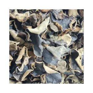 Best selling 2024 Wholesales oyster mushroom - Dried Shiitake Mushroom High Quality Dried Black Forest Mushroom From Vietnam
