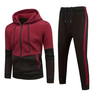 Nouvelle mode d'hiver pour hommes, pull à capuche en polaire, survêtement décontracté, vêtements d'extérieur avec logo brodé, vêtements de sport de grande taille - Product Image 6