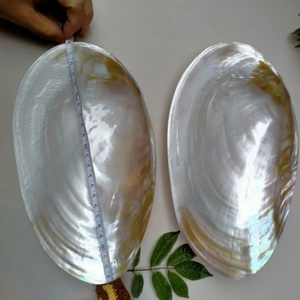 Haute qualité poli coquillage artisanat nacre assiette élégante salle à manger nacre assiette pour servir de la nourriture - Product Image 3