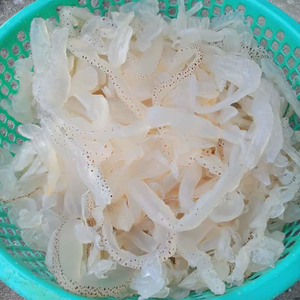 Cuerpo de medusas de playa en Vietnam con precio competitivo de alta calidad y listo para enviar - Product Image 1