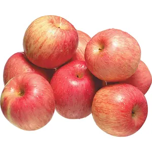 Discounts Selling Fresh Green Granny Smith Apples /Fresh Red Fuji Apples /Royal Gala/Red Delicious