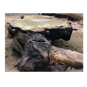 ลูกไม้วอลนัทสีดำคุณภาพพรีเมี่ยมเหมาะสำหรับโครงการภูมิทัศน์และความงามตามธรรมชาติ - Product Image 1