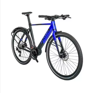 Vélo Électrique Urbain Femme en Promotion – Cadre en Alliage d'Aluminium Fabriqué en Chine, Vitesse Max 25km/h, Moteur Brushless 250/500W - Product Image 1