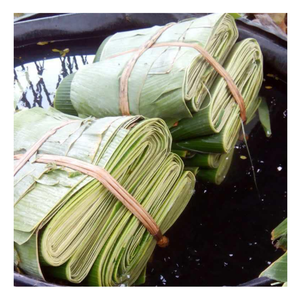 ใบตองสดสุดชิคจากเวียดนามใบตองเป็นมิตรกับสิ่งแวดล้อมสำหรับห่ออาหารธรรมชาติใช้งานง่ายสำหรับการเสิร์ฟอาหารที่ทันสมัย - Product Image 1