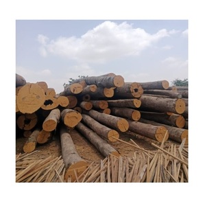 Se vende madera Meranti al mejor precio online - Product Image 6