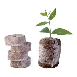 散装可可泥炭胶囊供应商，价格便宜/有机可可泥炭袋，用于高品质植物和种子
