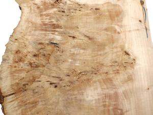 Natural Mappa Burl Wood Slab / Live Edge Rustic Lumber for Epoxy <b>Tables</b> - Product Image 3