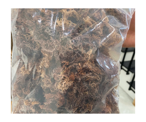 Venta al por mayor a granel Superfood Dry Cottonii Sea Moss Premium Natural Pure Vegan Non GMO Gluten Free Healthy Export Vietnam Supply - Product Image 3