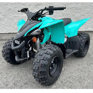 Yamaha YFZ 50 2025, véhicule tout-terrain haut de gamme pour jeunes, adapté aux acheteurs en gros et aux concessionnaires - Product Image 1