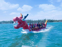 Bateau Dragon Gonflable pour Jeu Aquatique, Équipement Aquatique Gonflable, Sports de Remorquage Aquatique à Vendre