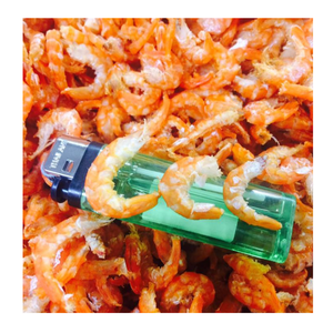 กุ้งอบแห้ง99โกลด์ดาต้าเวียดนามเกรดส่งออกผู้จัดจำหน่ายกุ้งตากแห้งสำหรับอุตสาหกรรมค้าปลีกและอาหาร - Product Image 5