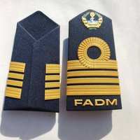 Épaulettes en métal personnalisées, badges, broderies, épaulettes pour uniformes d'aviateurs, accessoires de qualité supérieure, ronpex