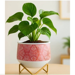 Pot de fleurs en métal au design élégant avec finition émaillée, style luxueux, pot de fleurs en métal, jardinière en métal, style classique - Product Image 1