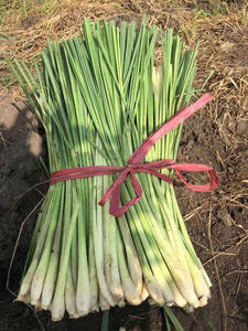 ตะไคร้เวียดนามสดและแช่แข็ง: จัดหาโลกจำนวนมาก - Product Image 2