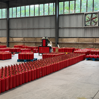 Extincteur à CO2 portable avec tuyau rouge, équipement de lutte contre l'incendie