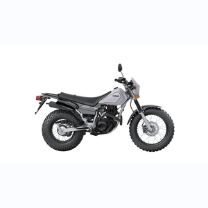 2024 Yamahaa TW 200 - Product Image 3