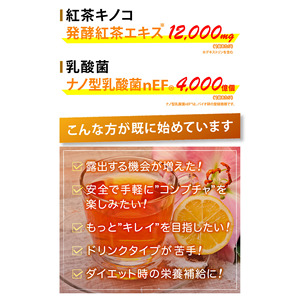 Cápsulas de Extracto de Té Kombucha EX Premium, Ricas en Polifenoles Activos, Fermentación Japonesa, Dieta Saludable, Probióticos Nano - Product Image 3