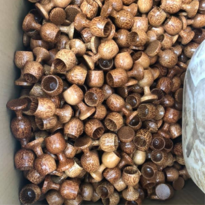 ชุดถ้วยชาทำจากไม้มะพร้าวออกแบบสไตล์ดั้งเดิมสำหรับดื่มชาที่ทำจาก99GD เวียดนาม - Product Image 3