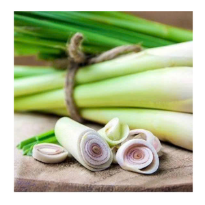 Vente en gros de tiges de citronnelle congelées et de citronnelle congelée hachée pour assaisonnement fournisseur du Vietnam de citronnelle congelée - Product Image 3