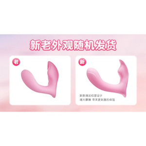 Télécommande sans fil pour vibrateur œuf pour femmes, rechargeable par USB, vibrateur G-Spot et papillon, 80 pièces par boîte - Product Image 5