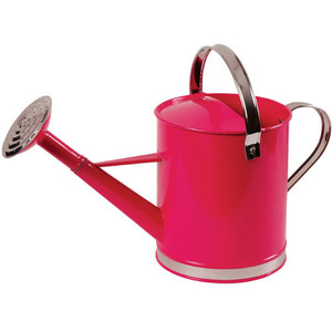 Unique Style Home <b>Garden</b> Decorative Vintage Stylish Water Can Custom Finishing Decorative <b>Garden</b> Watering Can - Product Image 3