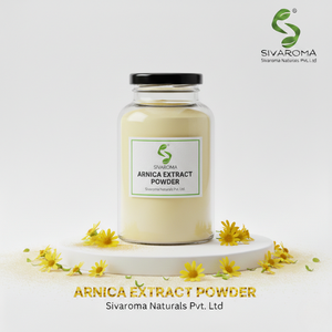 Poudre d'extrait de plante d'arnica adaptée aux industries de la beauté, des soins personnels et de la formulation d'ingrédients - Product Image 5
