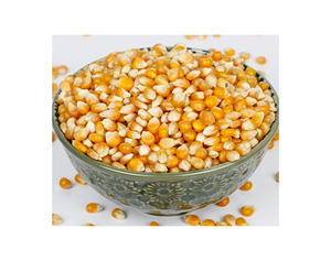 Maíz Amarillo Seco a Buen Precio para Consumo Humano y Animal, Maíz Amarillo Seco Limpio al por Mayor / Maíz Amarillo Seco en Venta - Product Image 6