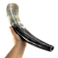 Meilleure qualité 100% cornes de buffle naturelles sur mesure Style animal cornes à boire et à souffler pour la revente