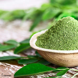Grade 1 Poudre de moringa de haute qualité Produit agricole de qualité supérieure-Style séché - Product Image 1