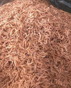 Anchois séchés naturels 100% premium du Vietnam, emballage sous vide, durée de conservation de plus de 12 mois, à conserver au frais et à l'endroit sec, prêt à l'emploi, MOQ 5 tonnes, OEM - Product Image 4