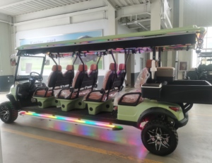 2025 Fabricant Ventes directes Siège unique Voiturette de golf électrique Nouveau design pour les voyages ménagers Certifié EEC DOT GCC - Product Image 2