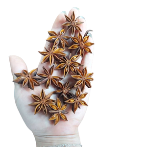 โป๊ยกั๊กต้นกำเนิดเวียดนามขายส่ง - Product Image 4